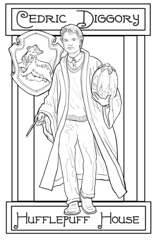 Cedric harry potter portrait character illustration