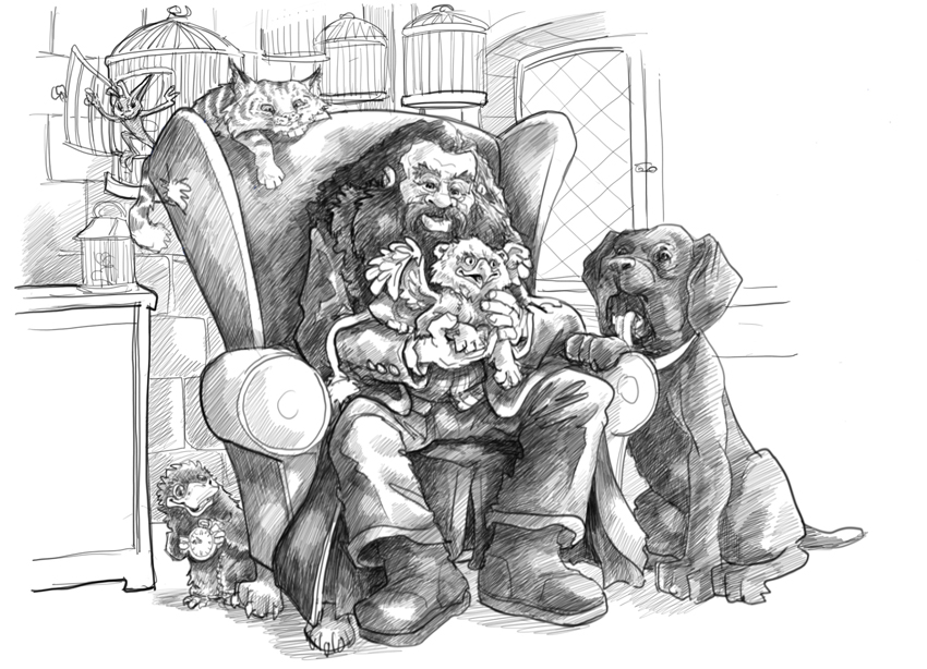 Hagrid Game Keeper harry potter portrait character illustration