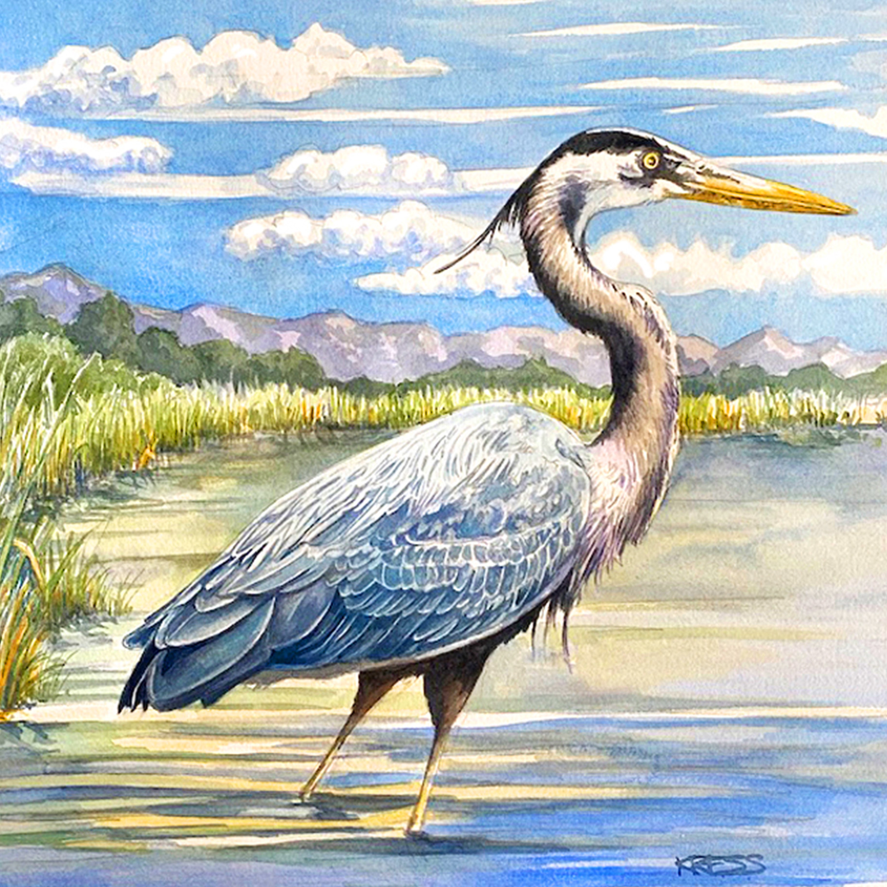 great blue heron watercolor