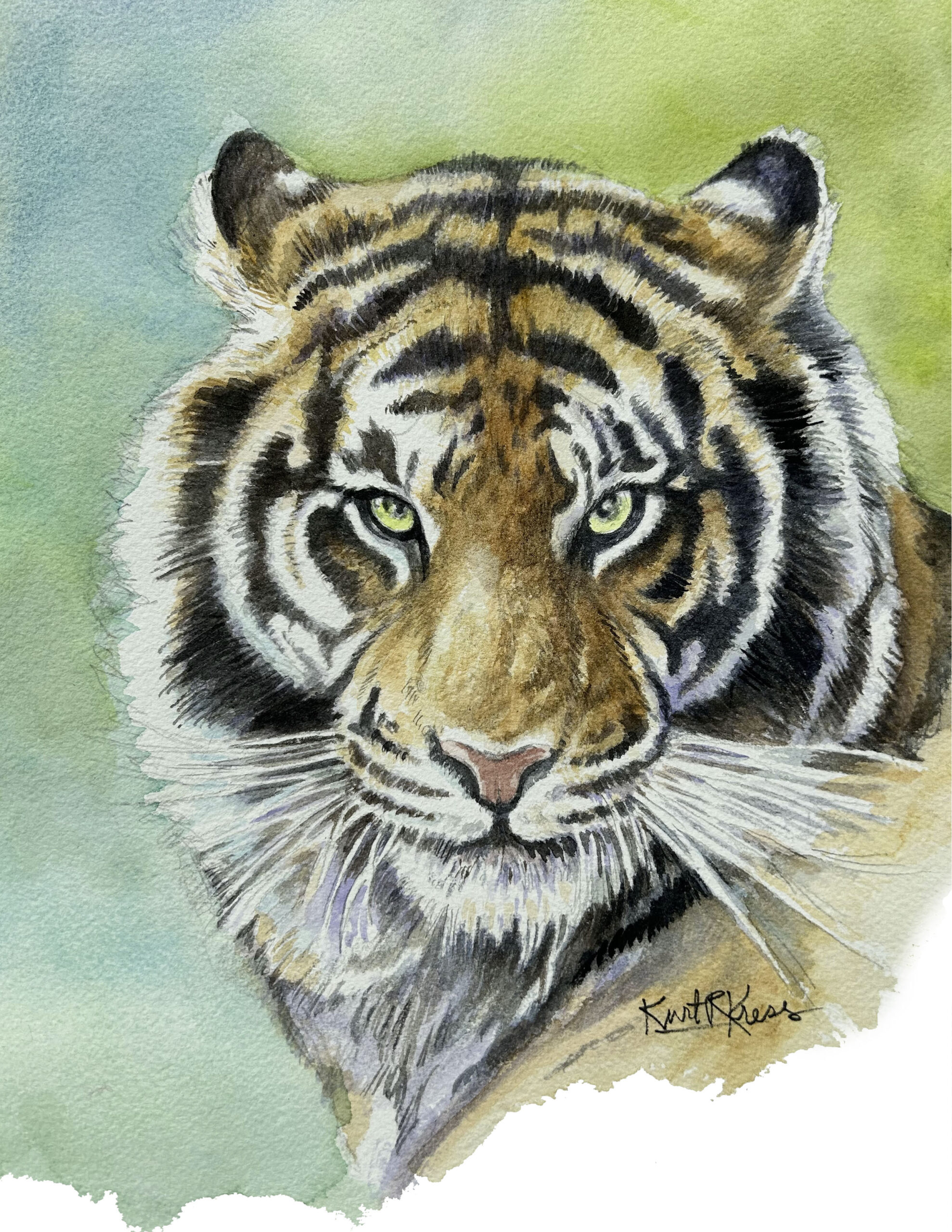 Eye of the Tiger wildlife watercolor portrait