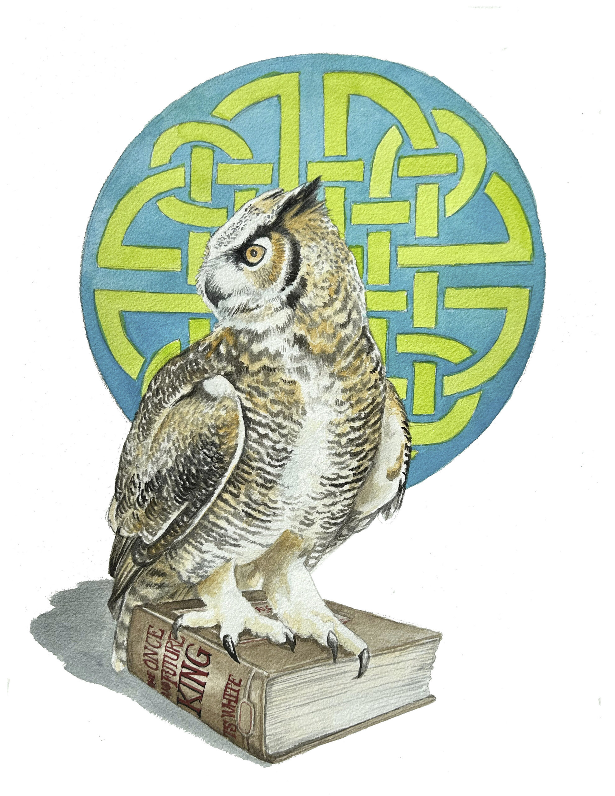 The Once and Future King Archimedes Owl wildlife watercolor portrait