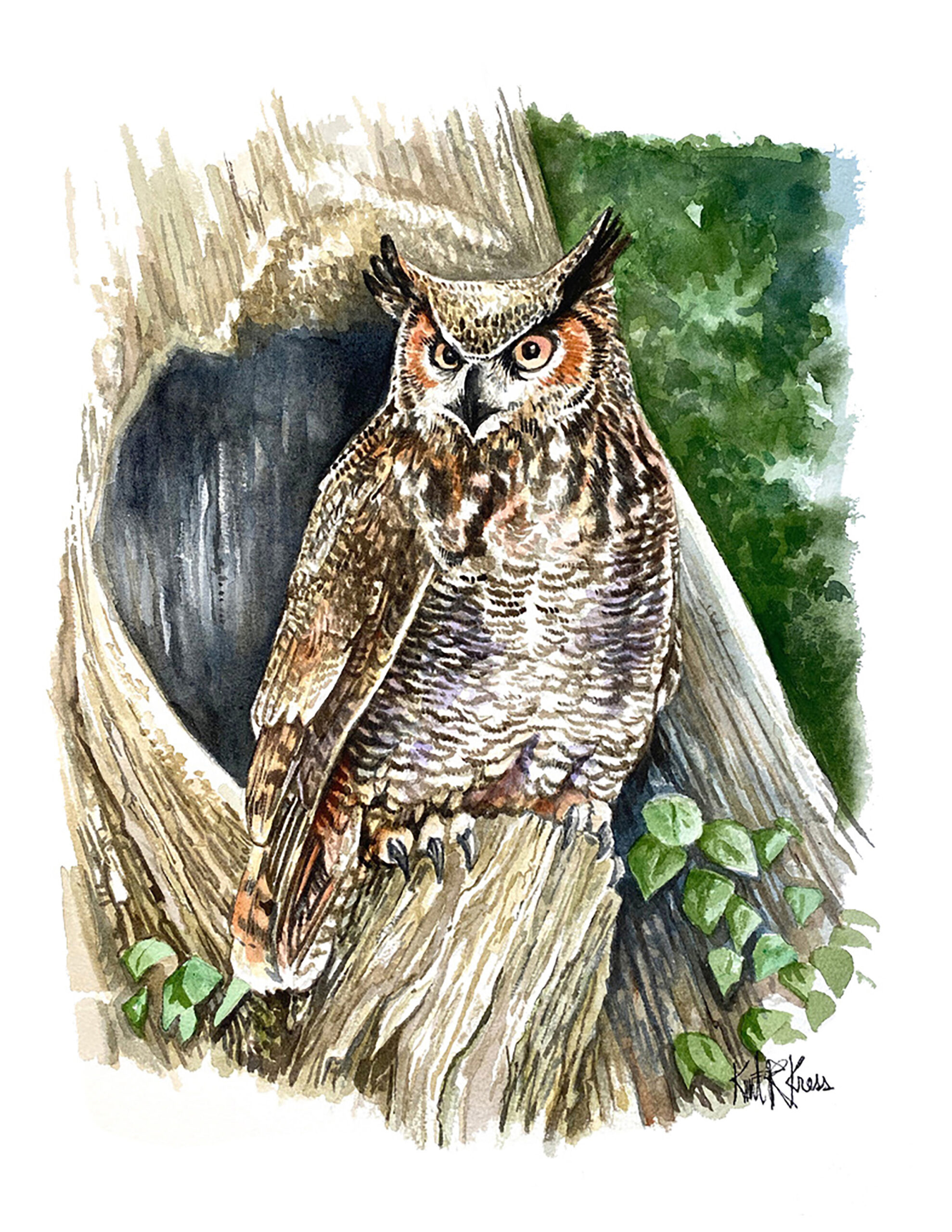 owl bird watercolor painting